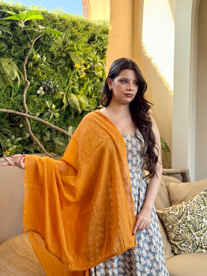 Myra Anarkali set